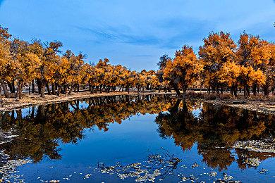 调查发现大多数《上古卷轴5》玩家不推主线 更喜欢玩支线任务